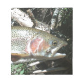 Regenboogforel Notitieblok (Voorkant)