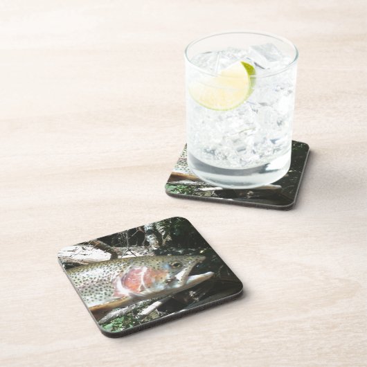 Regenboogforel Onderzetter (Rechterzijde)