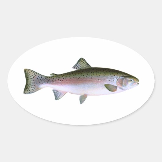Regenboogforel Ovale Sticker (Voorkant)