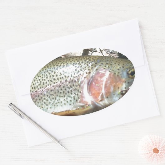 Regenboogforel Ovale Sticker (Envelop)