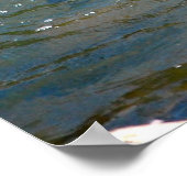 Regenboogforel (pompen) poster (Hoek)