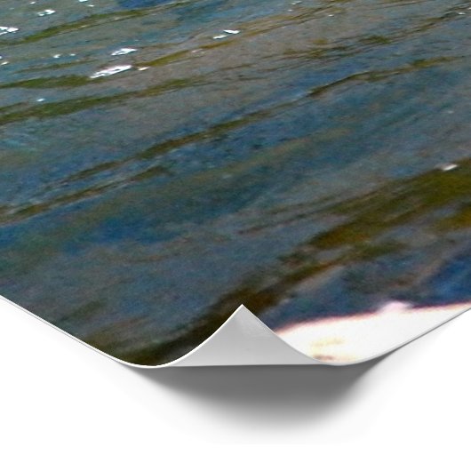 Regenboogforel (pompen) poster (Hoek)