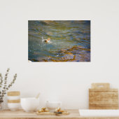 Regenboogforel (pompen) poster (Keuken)