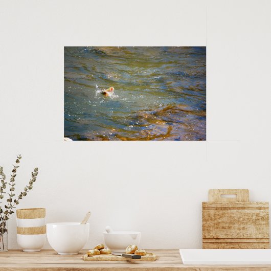 Regenboogforel (pompen) poster (Keuken)