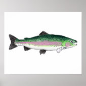Regenboogforel Poster (Voorkant)