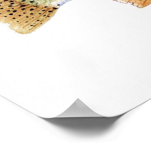 Regenboogforel Poster (Hoek)