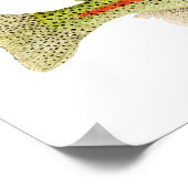 Regenboogforel Poster (Hoek)