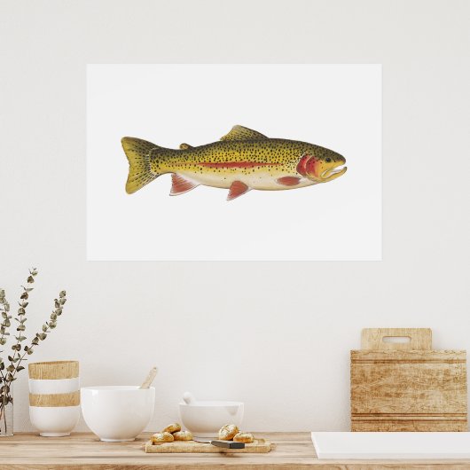 Regenboogforel Poster (Keuken)
