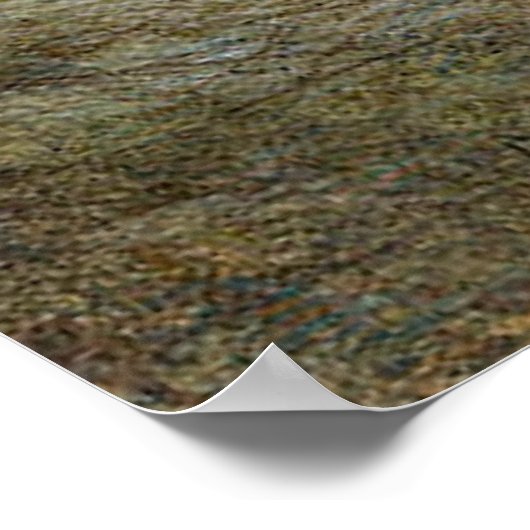 Regenboogforel Poster (Hoek)