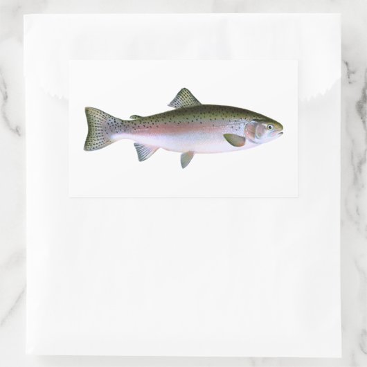 Regenboogforel Rechthoekige Sticker (Tas)