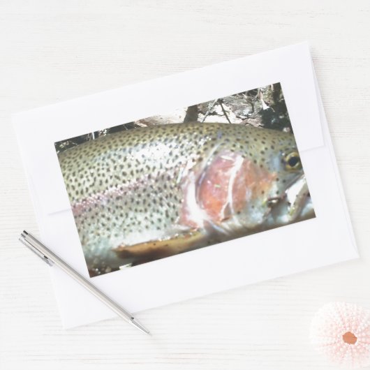 Regenboogforel Rechthoekige Sticker (Envelop)