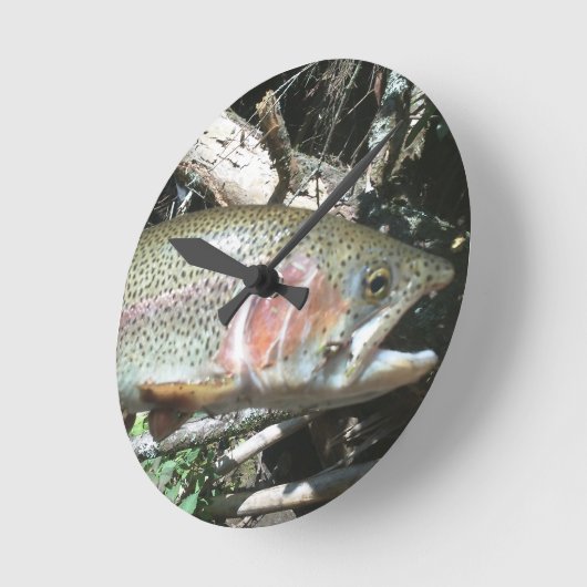 Regenboogforel Ronde Klok (Hoek)