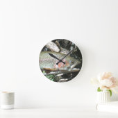 Regenboogforel Ronde Klok (Huis)