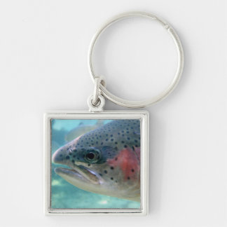 Regenboogforel Sleutelhanger