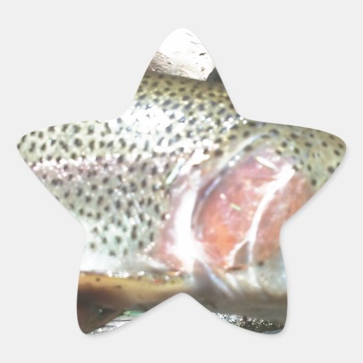 Regenboogforel Ster Sticker (Voorkant)