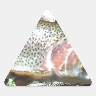 Regenboogforel Sticker