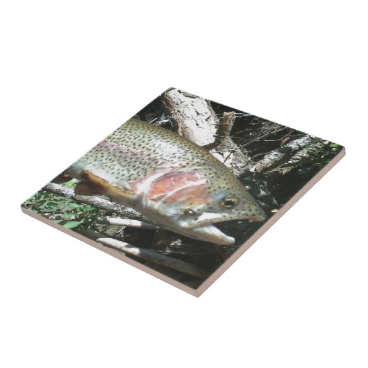 Regenboogforel Tegeltje (Zijkant)