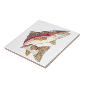 Regenboogforel Tegeltje (Zijkant)