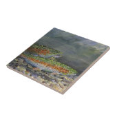 Regenboogforel Tegeltje (Zijkant)