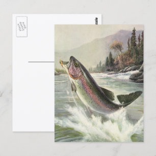 Regenboogforel, Vintage Visser Vissen naar Vis Briefkaart