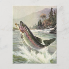 Regenboogforel, Vintage Visser Vissen naar Vis Briefkaart