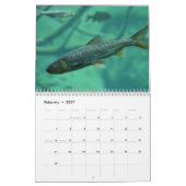 Regenboogforel Vis 2024 Kalender (Feb 2027)
