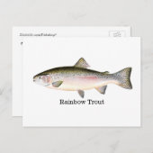 Regenboogforel vis briefkaart (Voorkant / Achterkant)