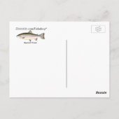 Regenboogforel vis briefkaart (Achterkant)