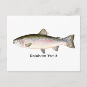 Regenboogforel vis briefkaart (Voorkant)