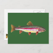 Regenboogforel vis briefkaart (Voorkant / Achterkant)