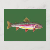 Regenboogforel vis briefkaart (Voorkant)