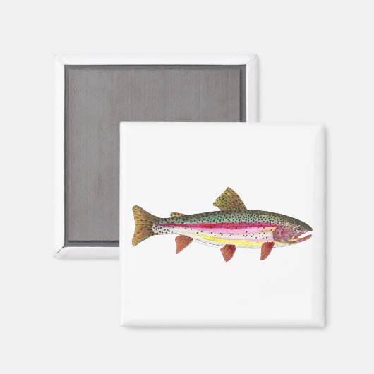 Regenboogforel vis magneet (Voorkant / Achterkant)