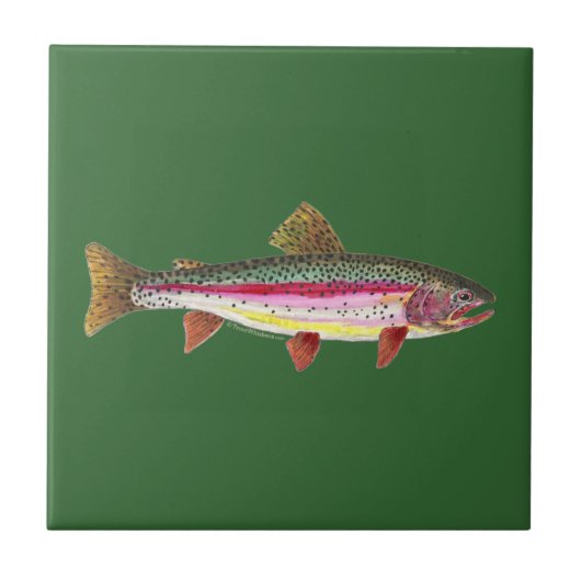 Regenboogforel vis tegeltje (Voorkant)