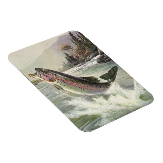  regenboogforel vis, vissers Vist Magneet (Rechterzijde)