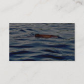 Regenboogforel Visitekaartje (Achterkant)