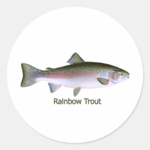 Regenboogforel Vist Logo Ronde Sticker