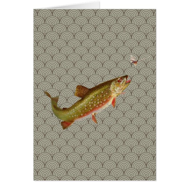  regenboogforel vliegen (Voorkant)