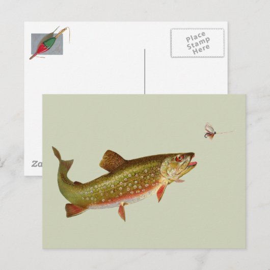  regenboogforel vliegen briefkaart (Voorkant / Achterkant)