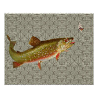  regenboogforel vliegen