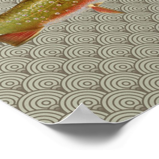  regenboogforel vliegen poster (Hoek)