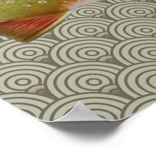 regenboogforel vliegen poster (Hoek)