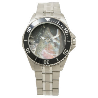 Regenboogforel, vlieghorloge horloge