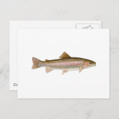 Regenboogforel voor zoetwater briefkaart (Voorkant / Achterkant)