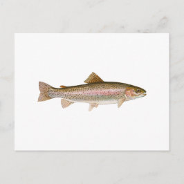 Regenboogforel voor zoetwater briefkaart