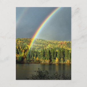 regenbooggeluk natuur hemelwaterbomen briefkaart
