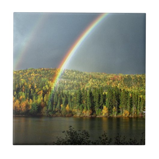regenbooggeluk natuur hemelwaterbomen tegeltje (Voorkant)