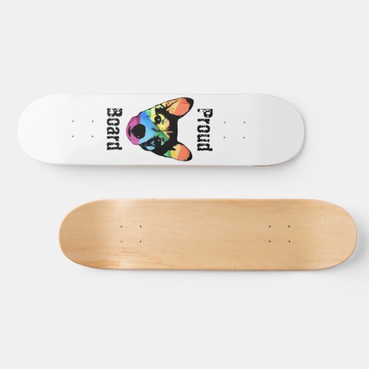 Regenbooghond, schaats, skateboard (Horizontaal)