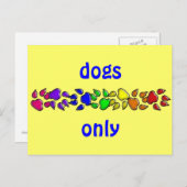 regenbooghondendruk briefkaart (Voorkant / Achterkant)