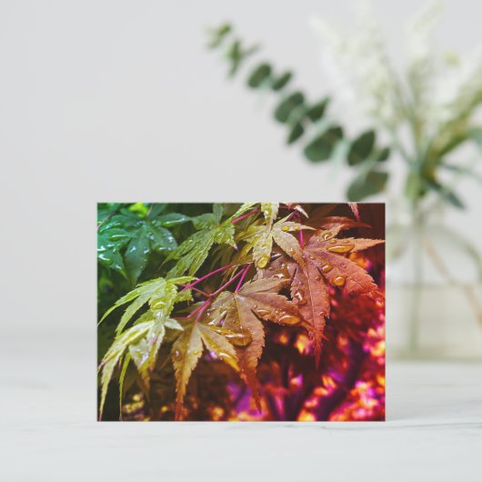 RegenboogJapanse mantel lekt Briefkaart (Staand voorkant)