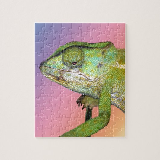 Regenboogkameleon Legpuzzel (Verticaal)